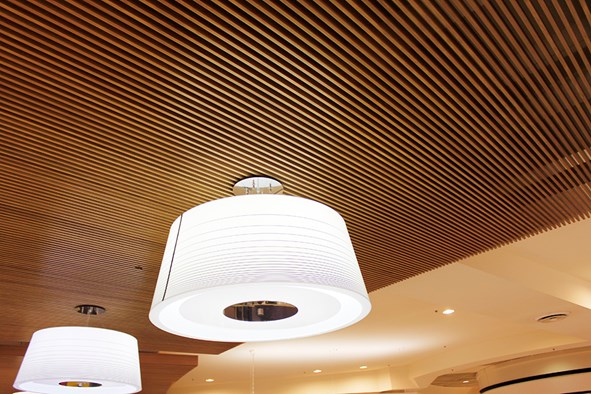 WPC CEILING PVC